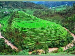kausani in summer season